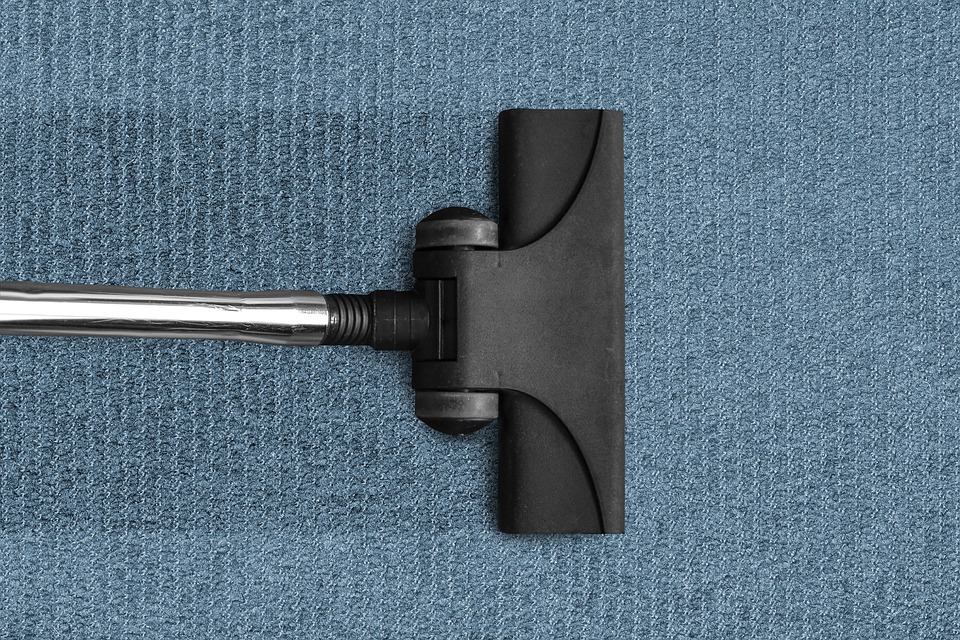 Find out how clean your carpet really is